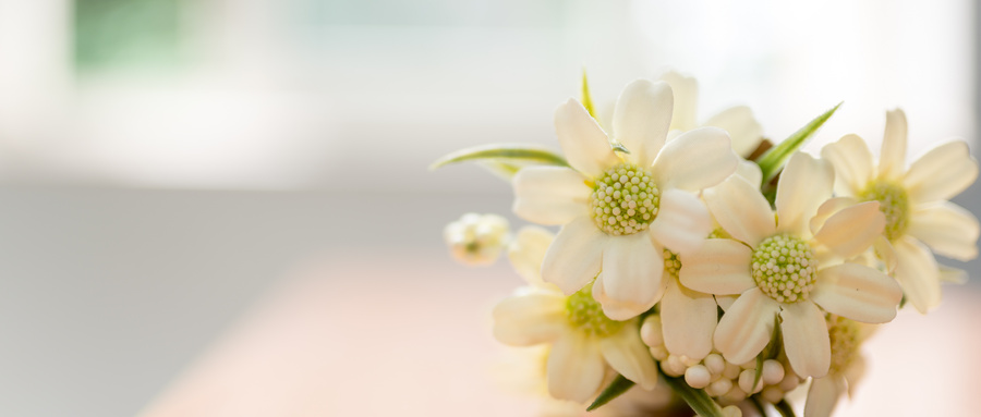 深圳新东方高二一对四辅导，期末考前抢分限时约 相关图片