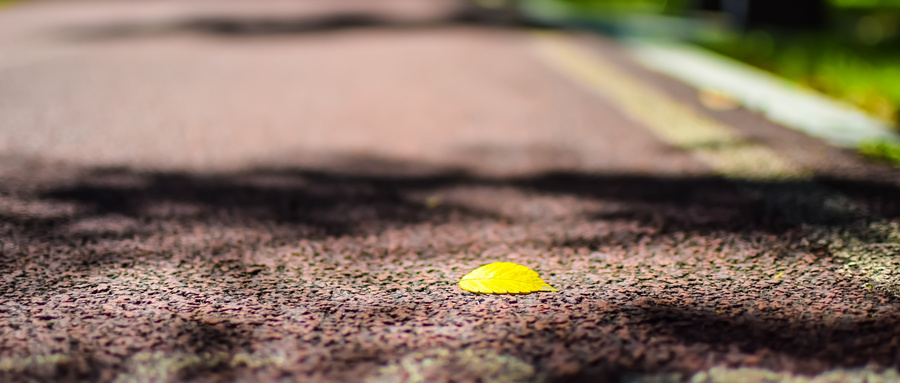 南阳励学教育：优质课程哪里好？费用透明地址近，报名热线速联！ 相关图片